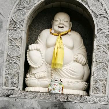 赵林茂