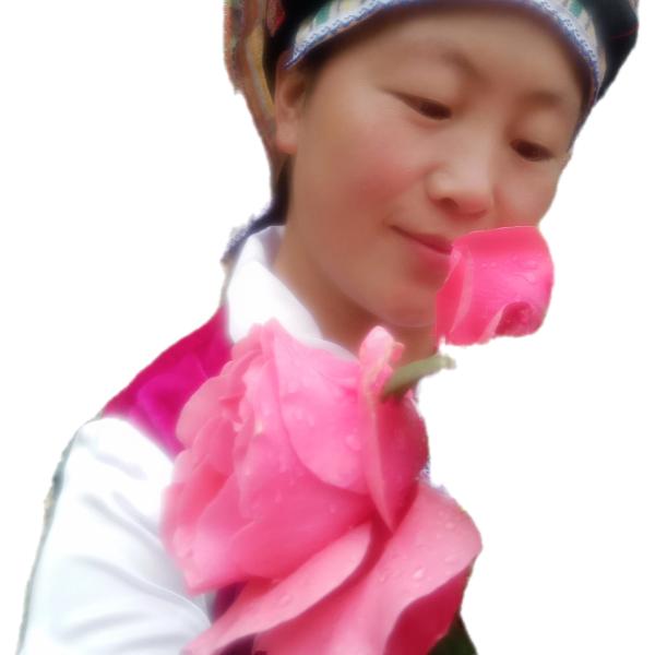 雾里人家