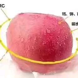 家