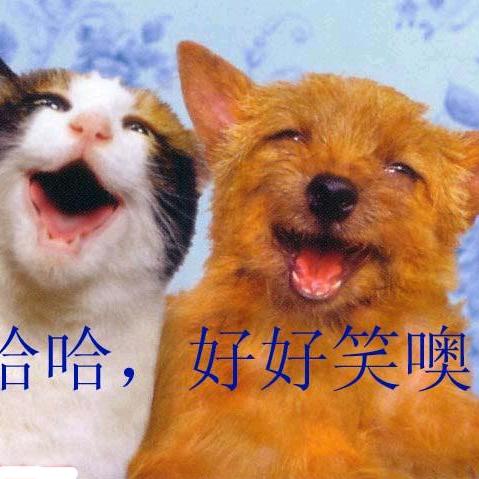 。🤩。在手一兔