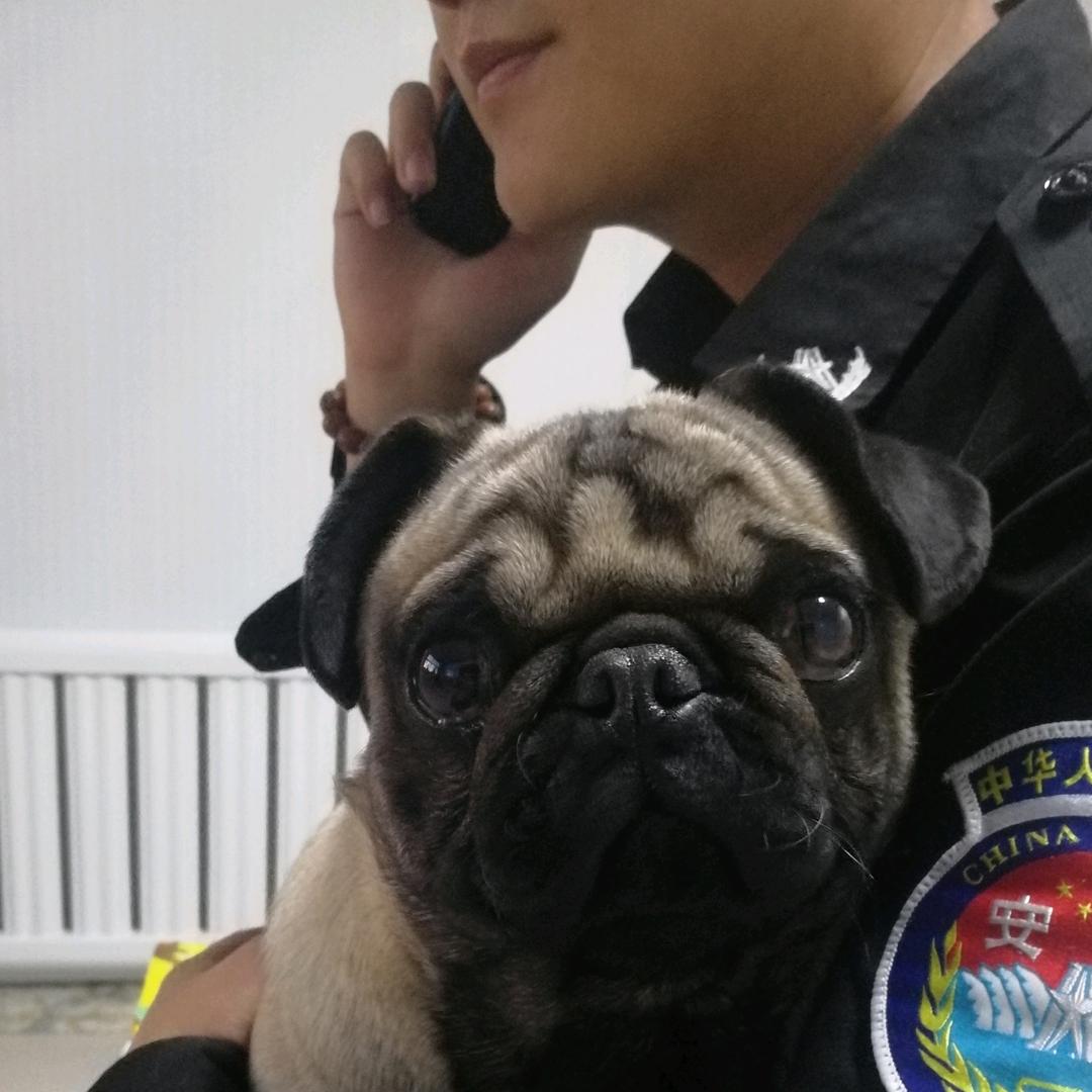 能饮一杯吴先生