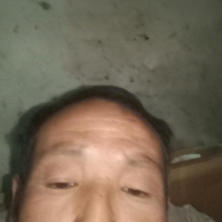 进兴