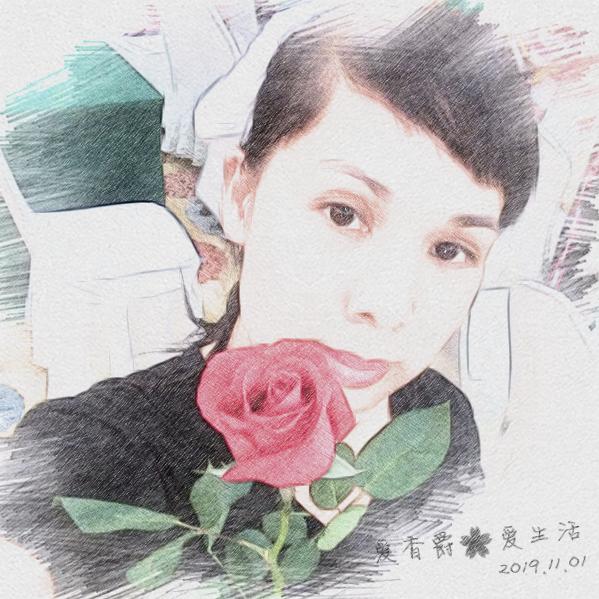 舞舞🌸六六