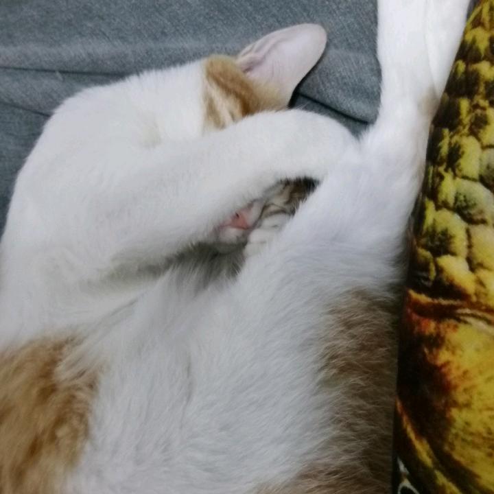 开心过好每一天