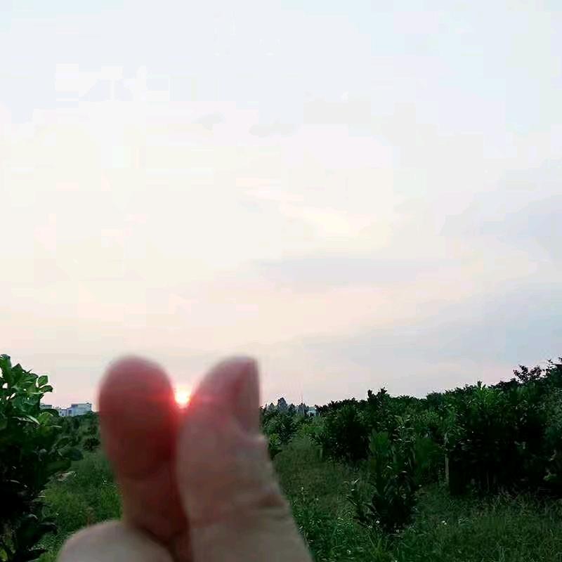 @队长