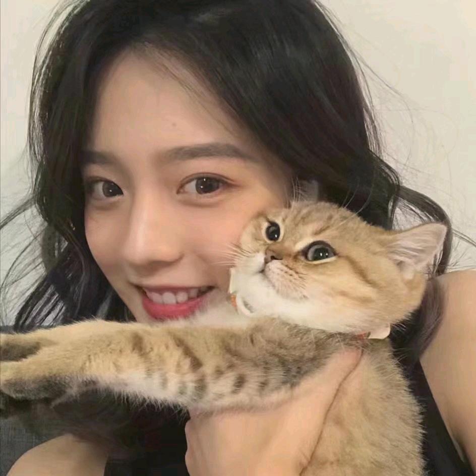 爱做梦的xian（见过鹿晗版）