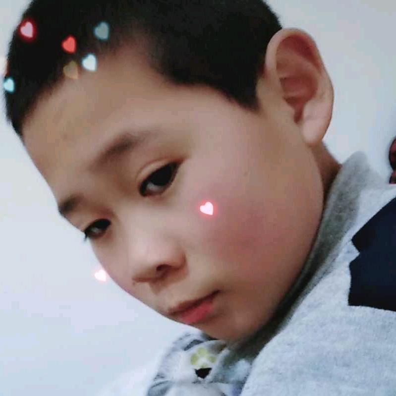 利鸽恒寒