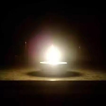 来世做一棵大树