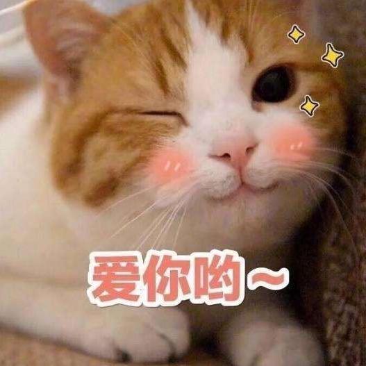 王泡泡🫧