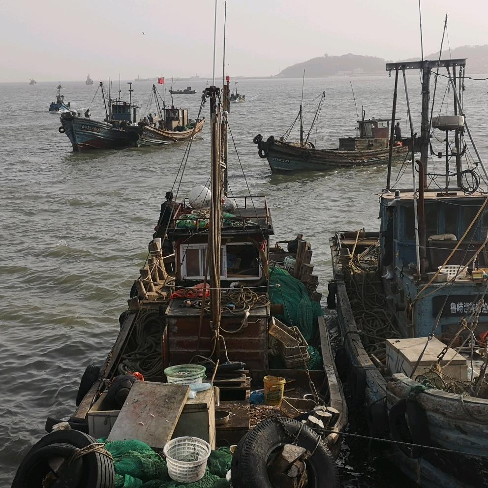 海鲜小林(码头小船)代购海鲜