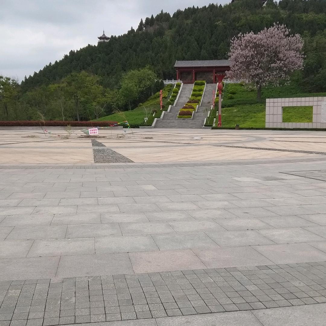 融雪梅