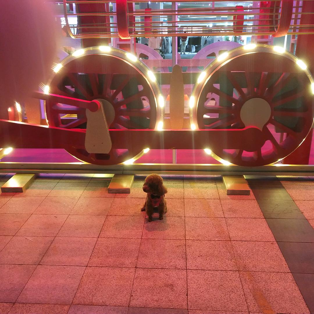 嬛❤ (ɔˆз(ˆ⌣ˆc)