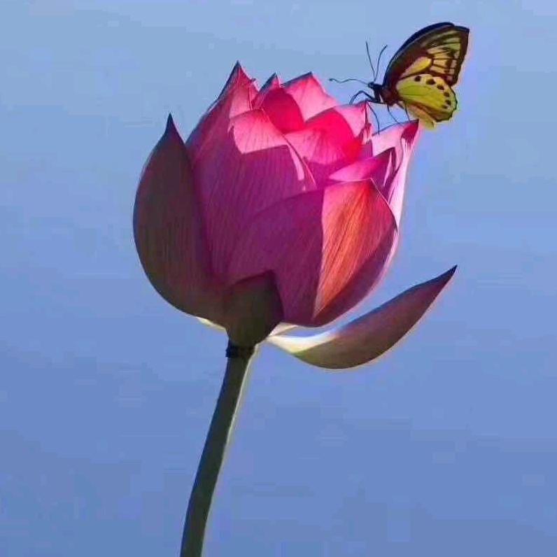 温暖的家