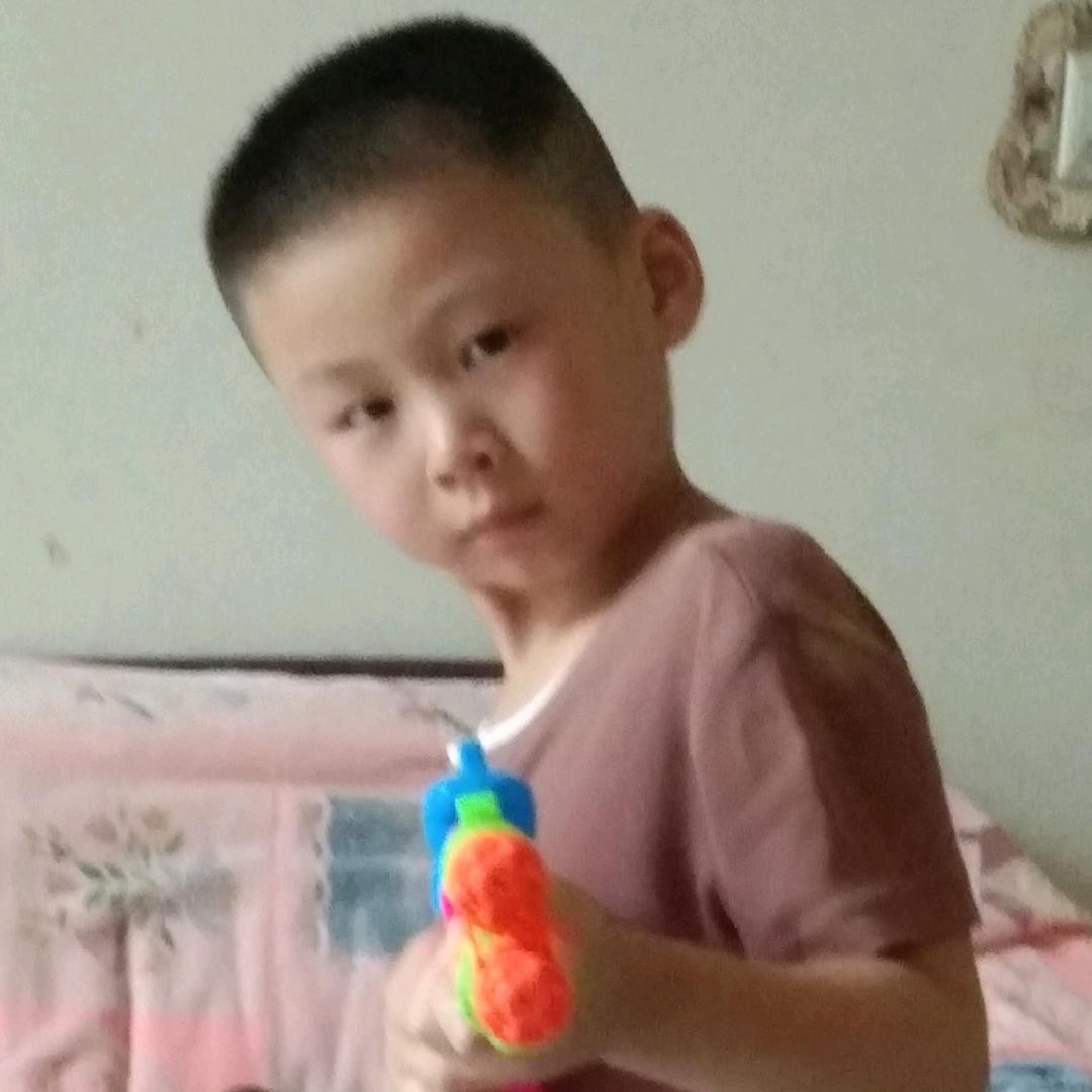 爱犬之梦