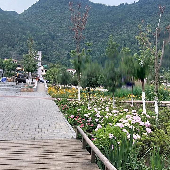 用户5367806786705