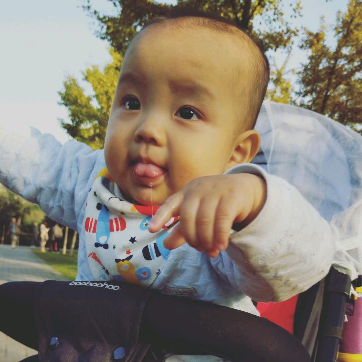虾米