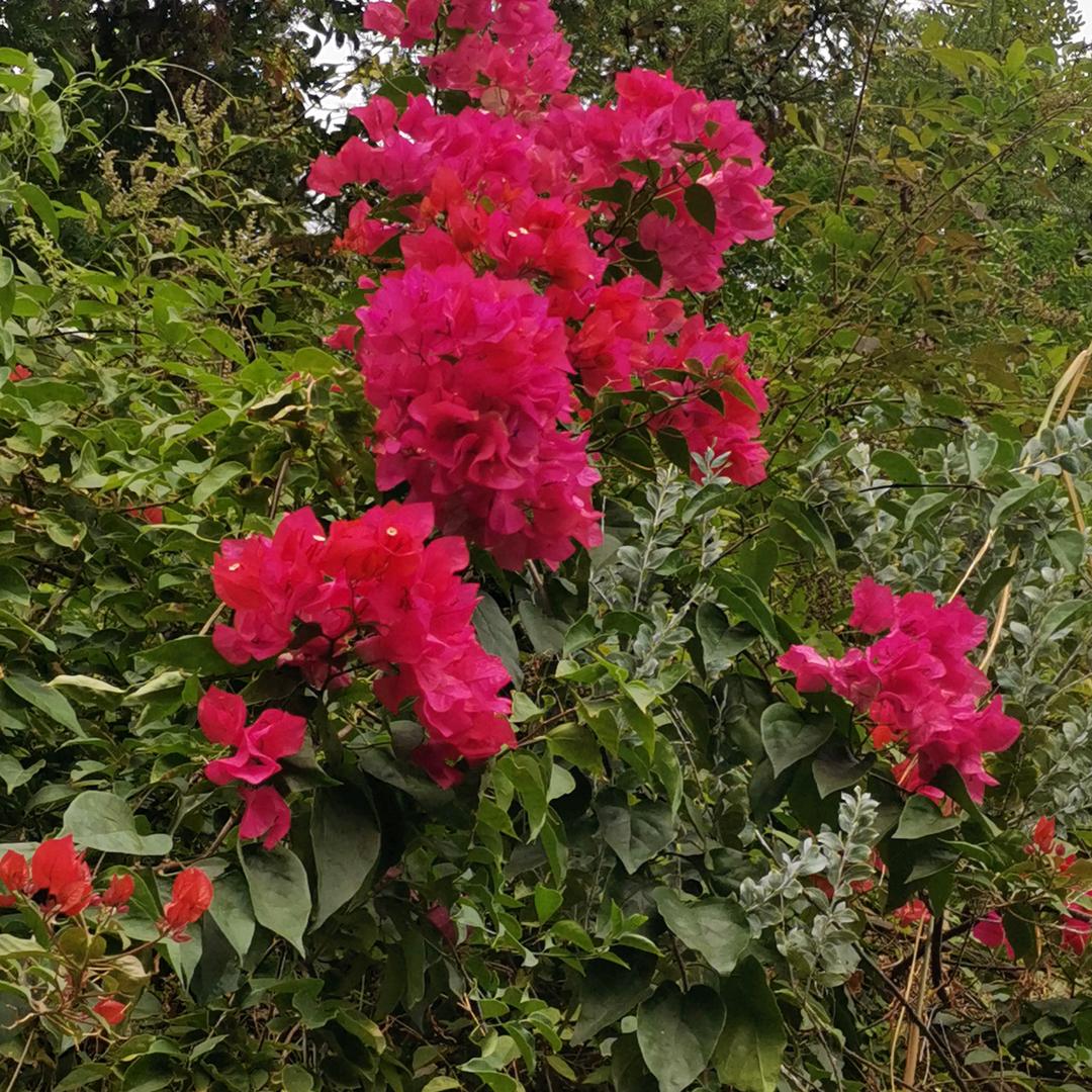 幸福安康天官赐福