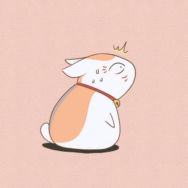 轮子0128