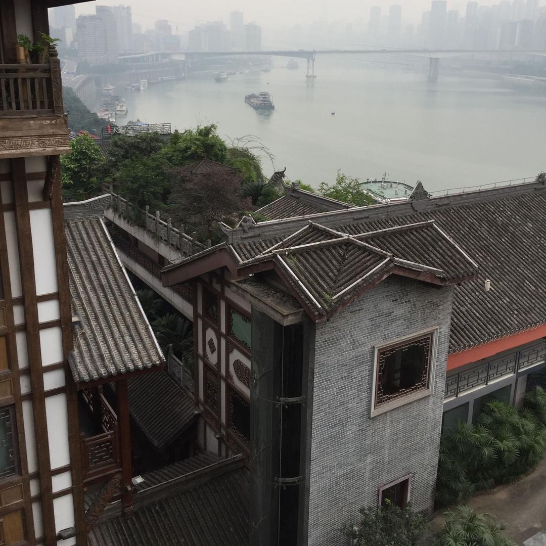 懒散小咸鱼