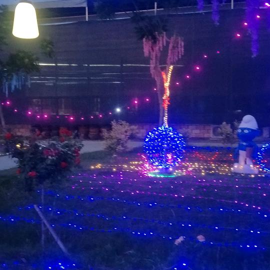 雨珺