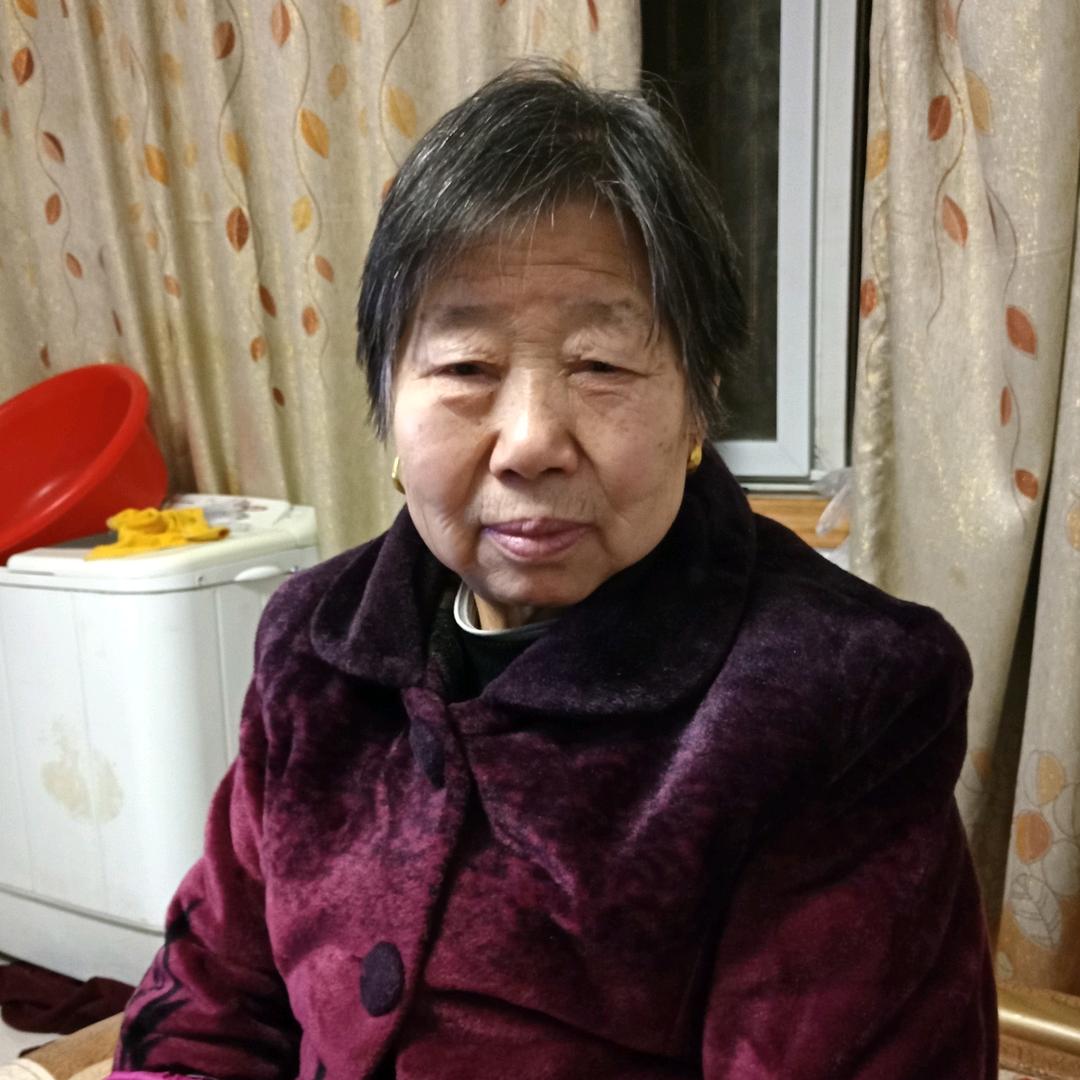 灵芝