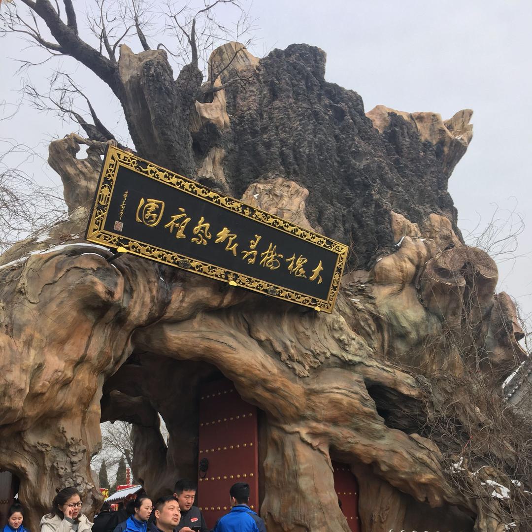 亮的