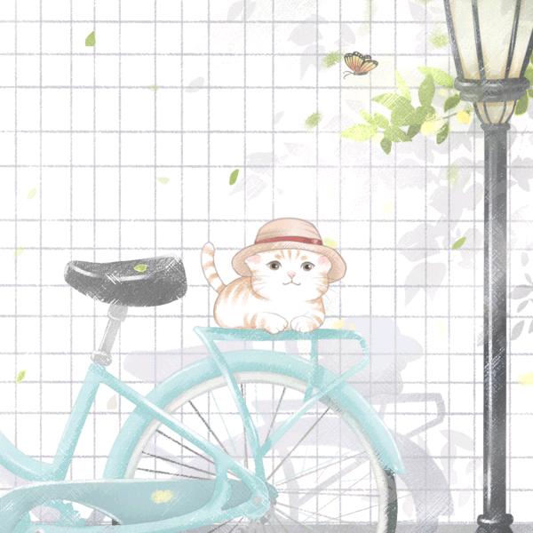 🌸🌸那年樱花季