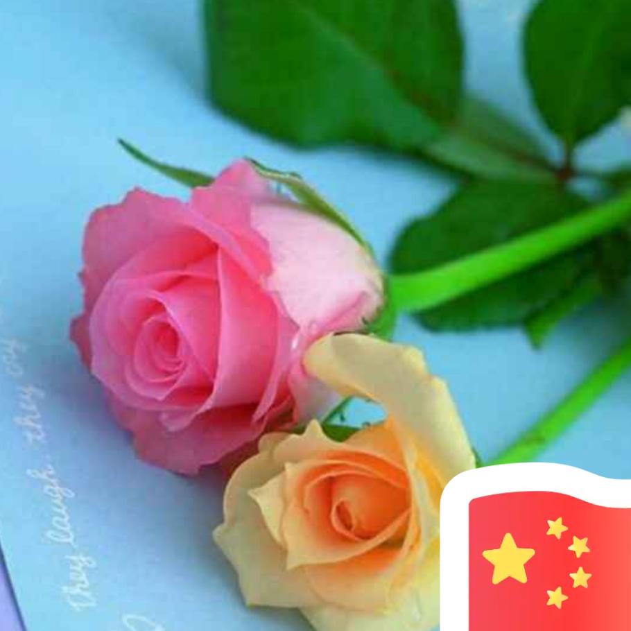 微风暖阳