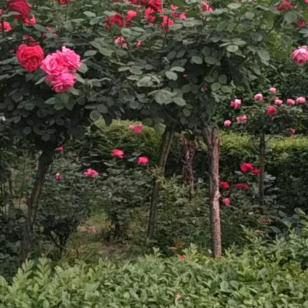 用户8112984838618