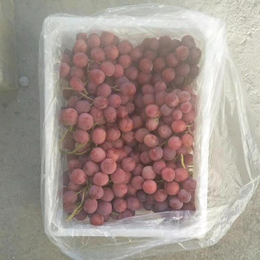 可怜的我，要坚强起来