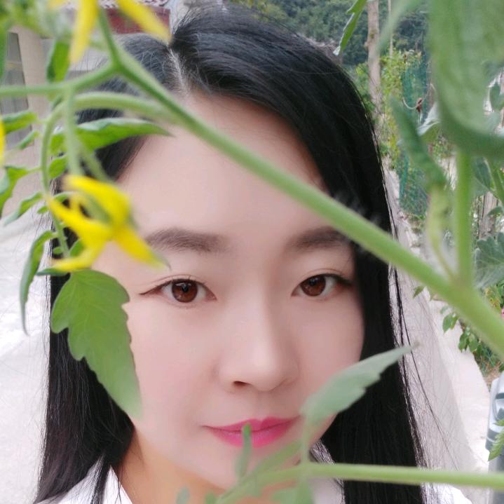 神农架阳日之星