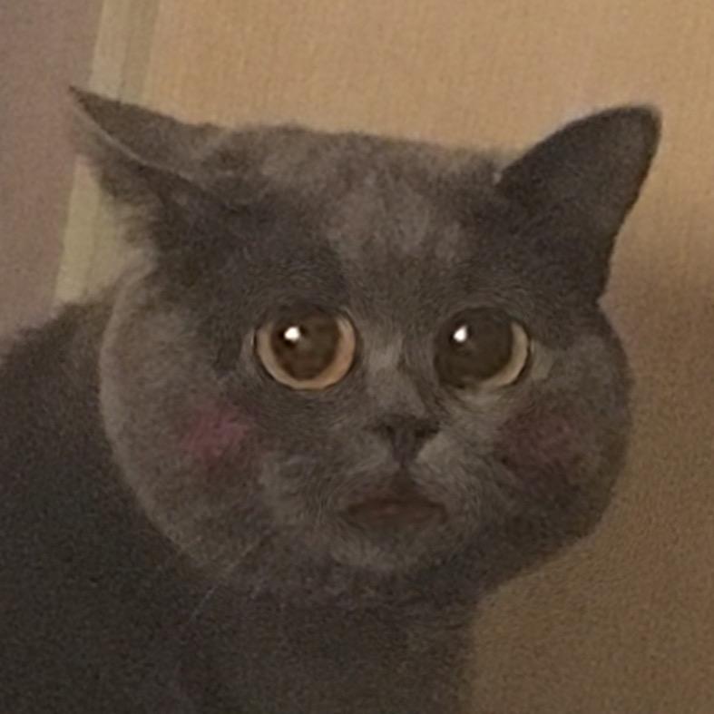 你的蛋蛋呀