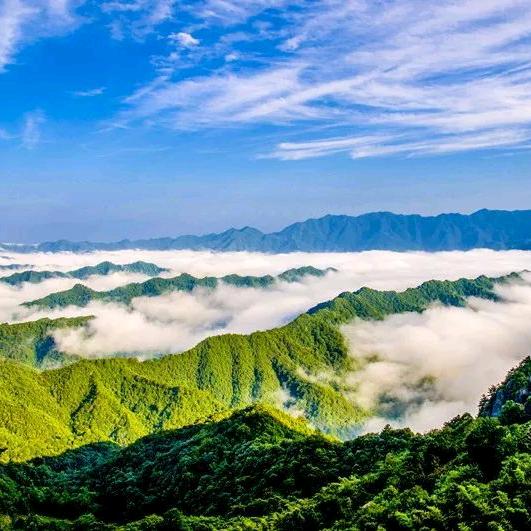 富硒黑木耳基地