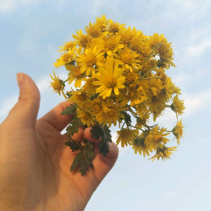 惜@