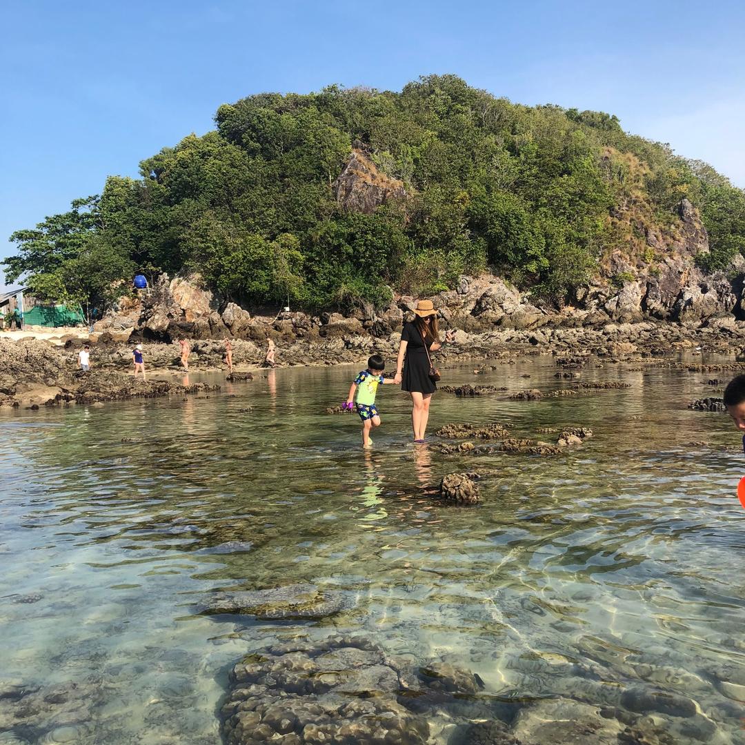 ✨7公举😍⚡️✨