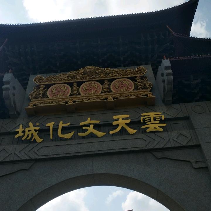 广西锋华林业
