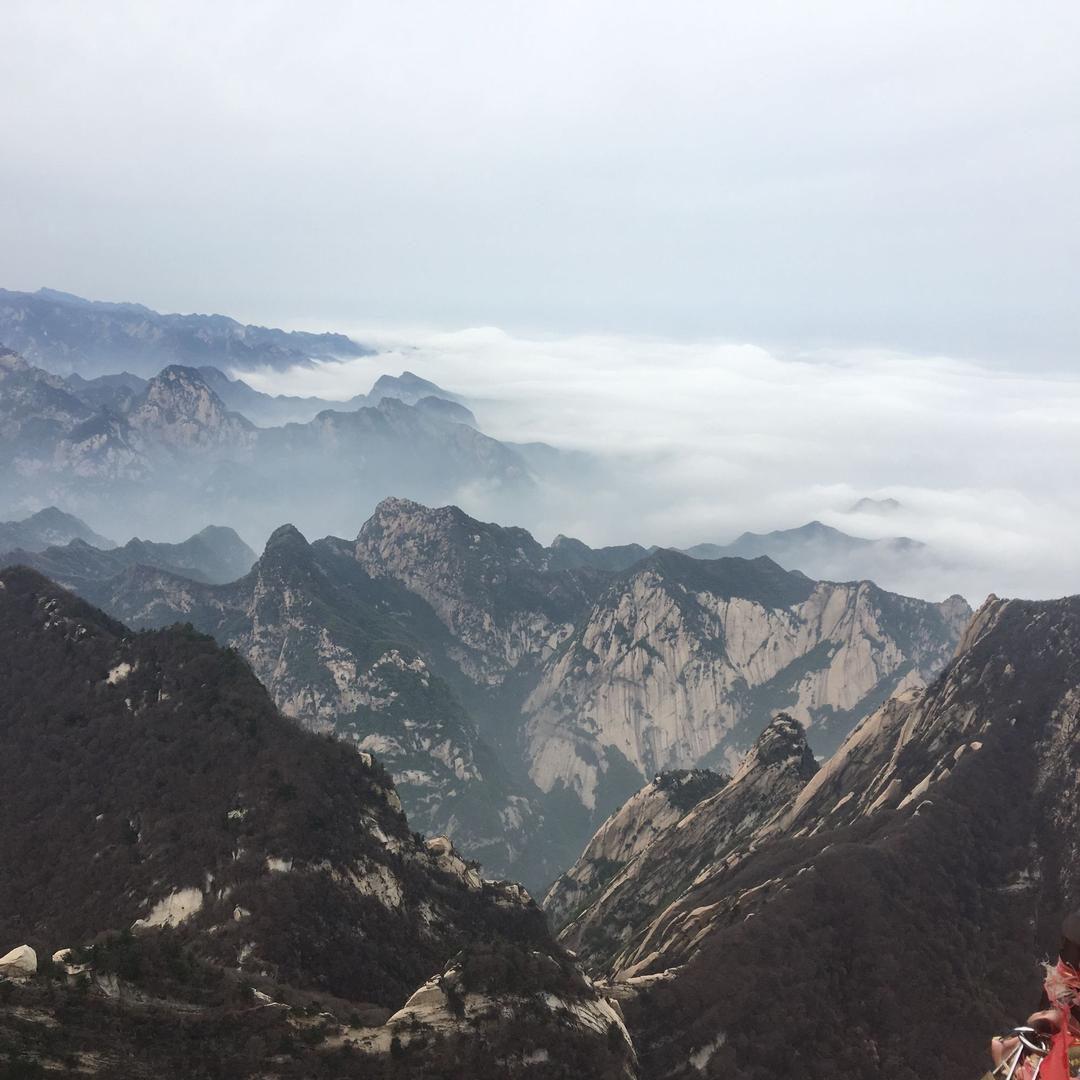 干里马用户7913821197270