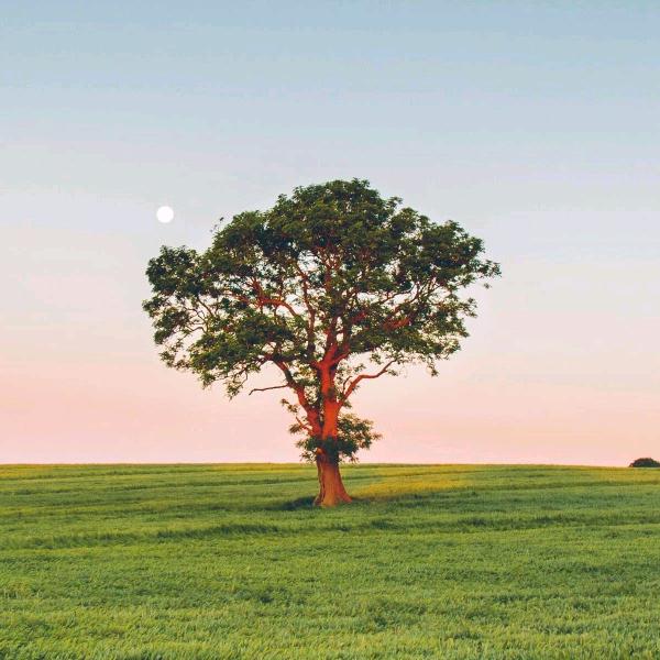 一个被时光催老的少年郎