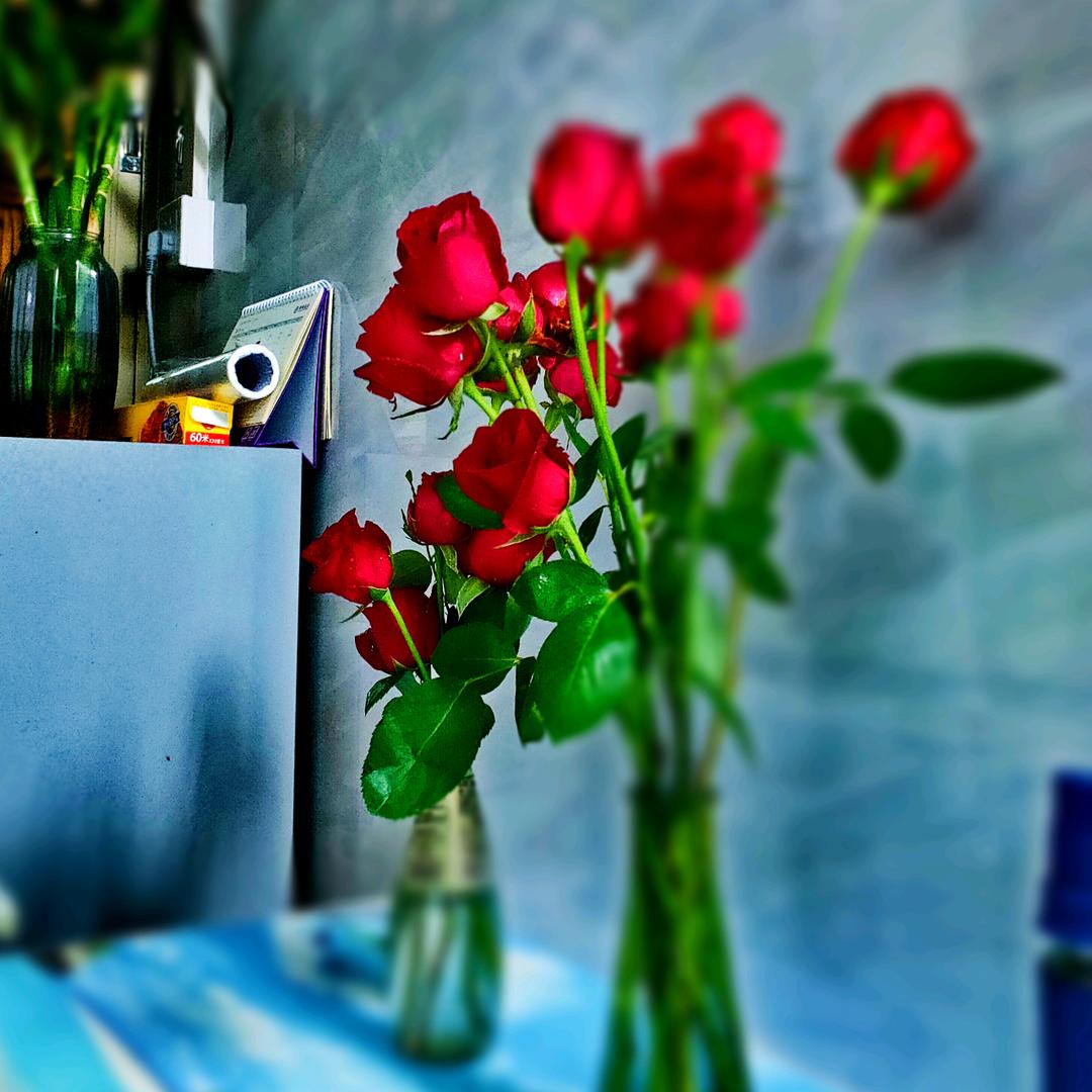 跌痛不说话/奋斗