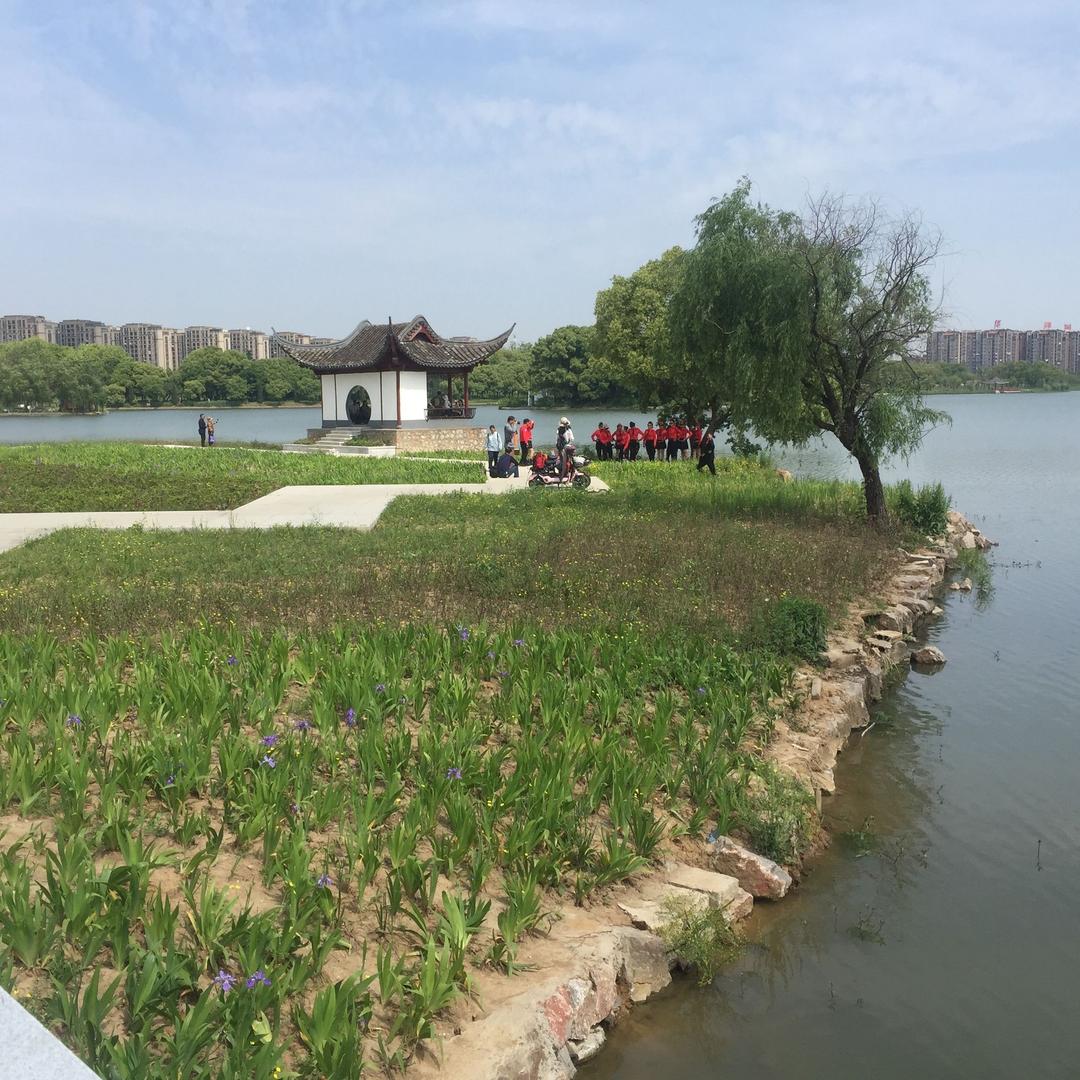 阿帕奇