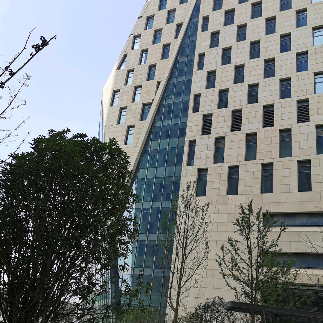 望月&追忆&似水年