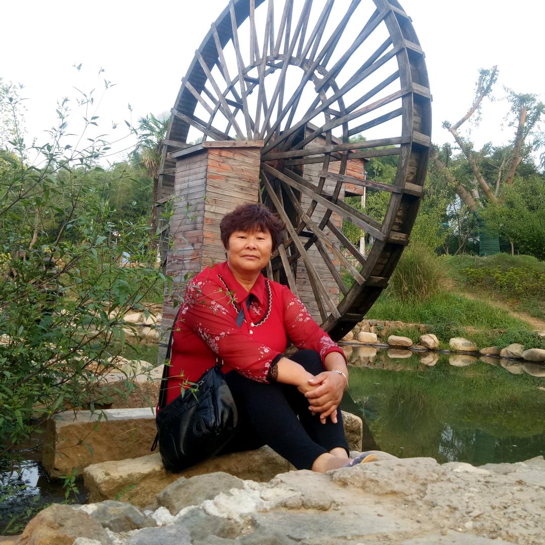 小样奶奶