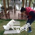 陈皮 话梅糖