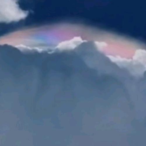 ღ无尘