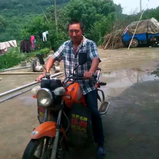 李自阳