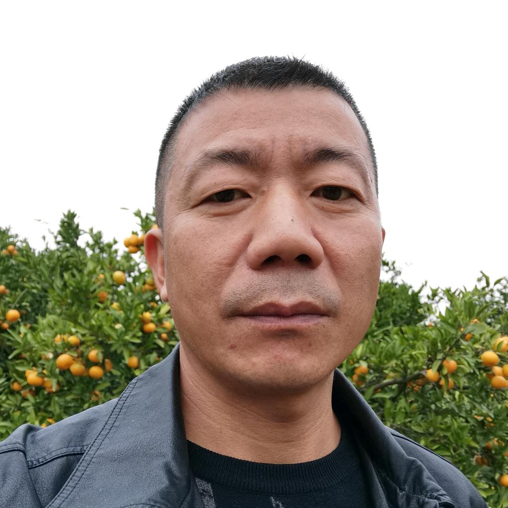 死不悔改