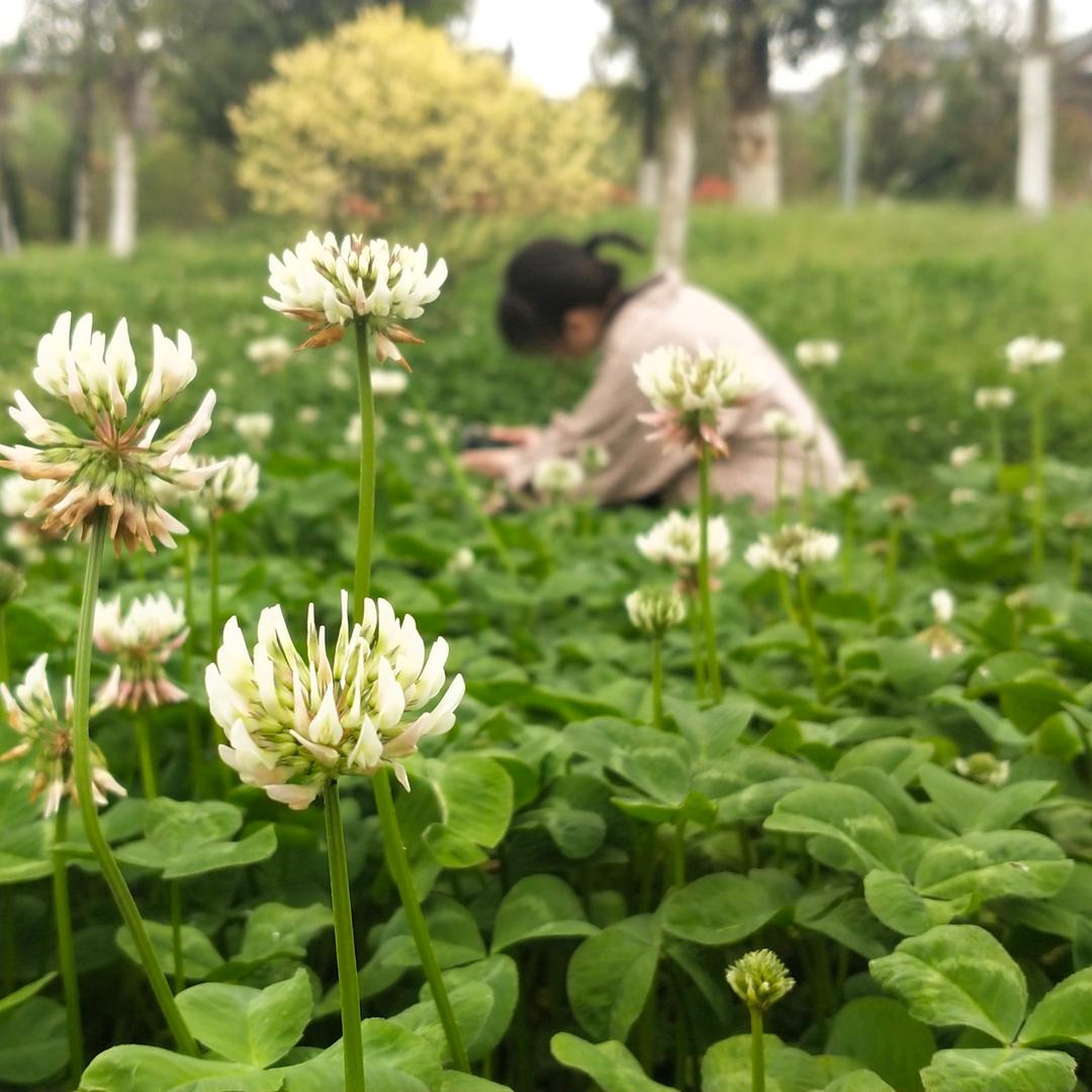 潇小潇