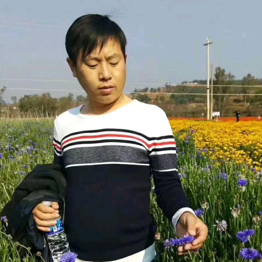 ～～似水年華～～