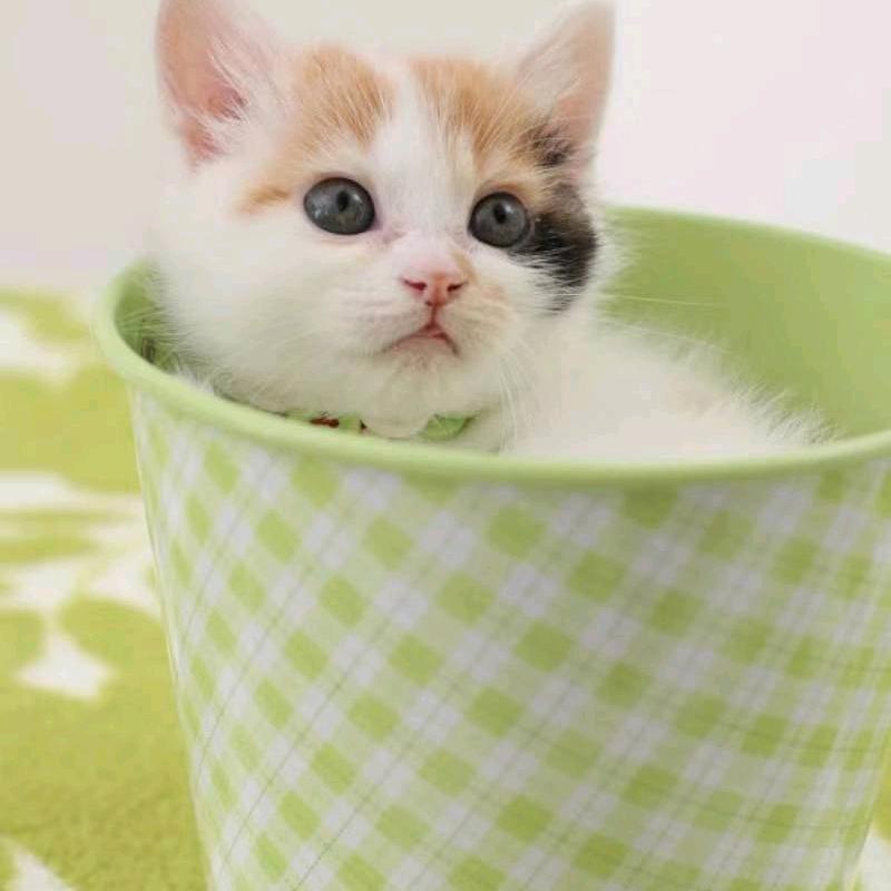 花费时间，老罗