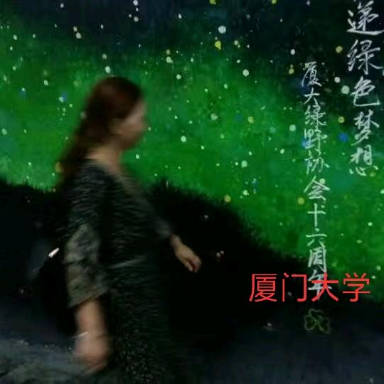 实现梦想